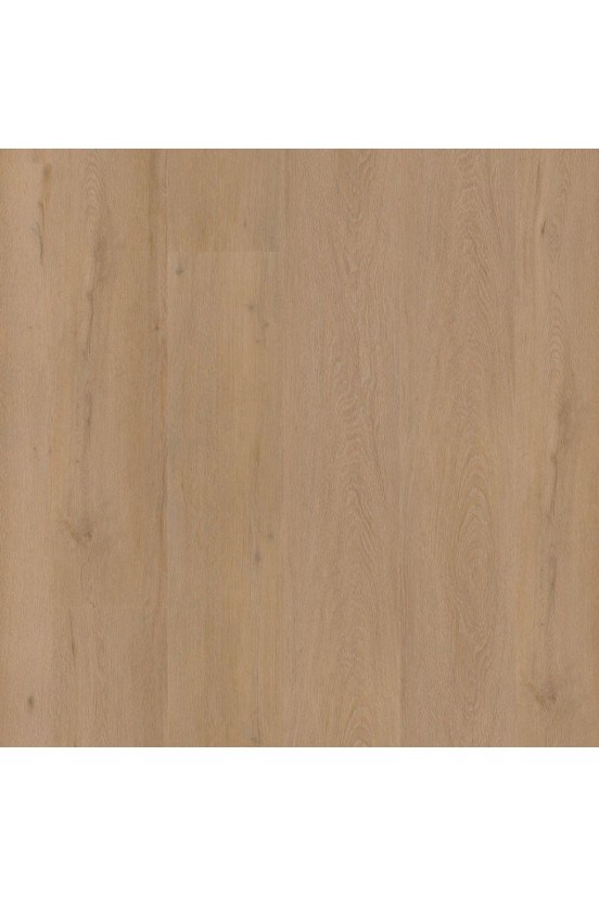 Ambiant Rigid Click Vivero Warm Oak 2825 Ambiant Rigid Click Vivero Warm Oak 2825