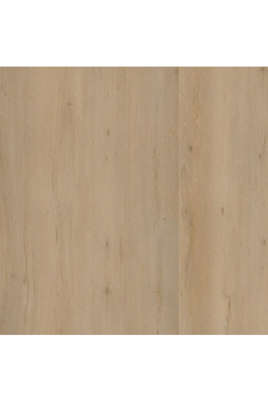 Ambiant Vivero Beige 1824