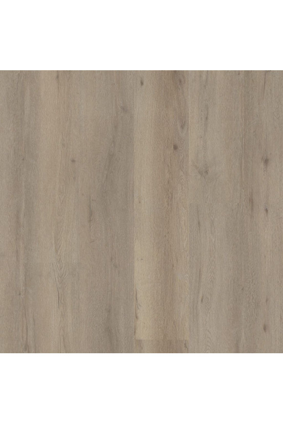 Ambiant Rigid Click Vivero Light Oak 2820 Ambiant Rigid Click Vivero Light Oak 2820
