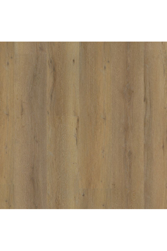 Ambiant Vivero Dark Oak 1823 Ambiant Vivero Dark Oak 1823