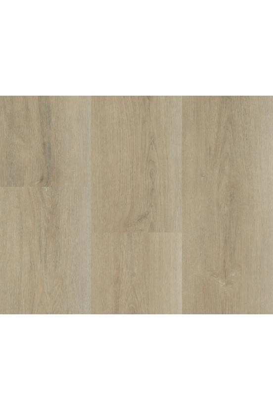 Montinique Charente XL 5447 Montinique Charente XL 5447