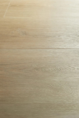 Montinique Charente XL 5447 Montinique Charente XL 5447