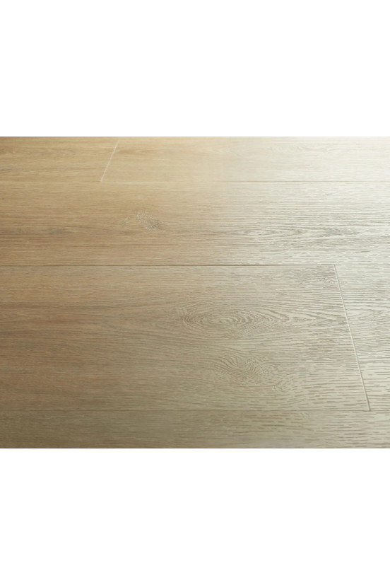 Montinique Charente XL 5447 Montinique Charente XL 5447