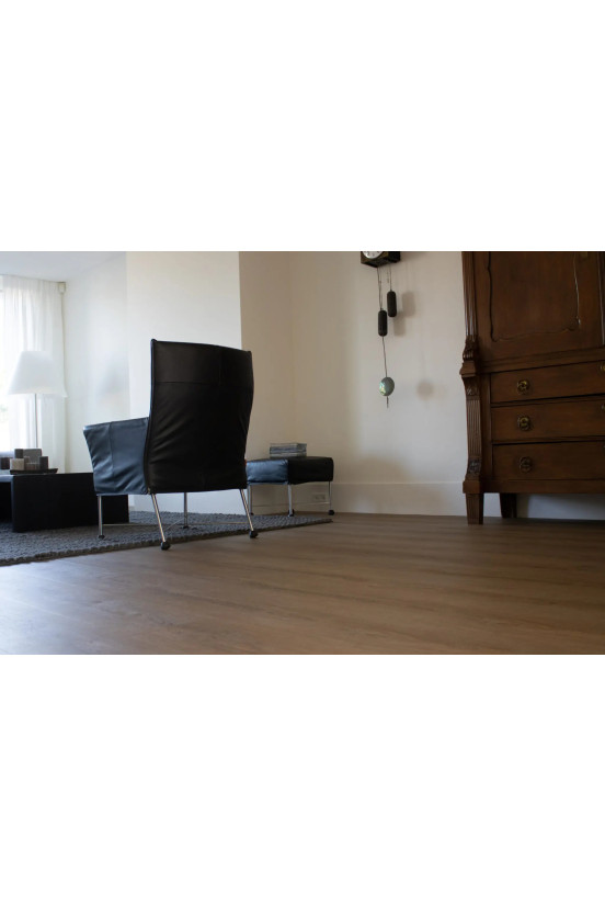 Montinique Charente XL 5445 Montinique Charente XL 5445