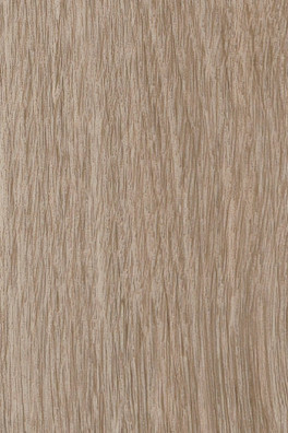 Mflor Parva River Oak Douro 41325 Mflor Parva River Oak Douro 41325