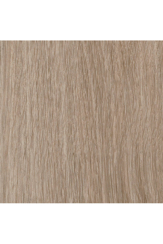 Mflor Parva River Oak Douro 41325 Mflor Parva River Oak Douro 41325