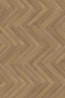 Mflor Parva River Oak Danube 41322