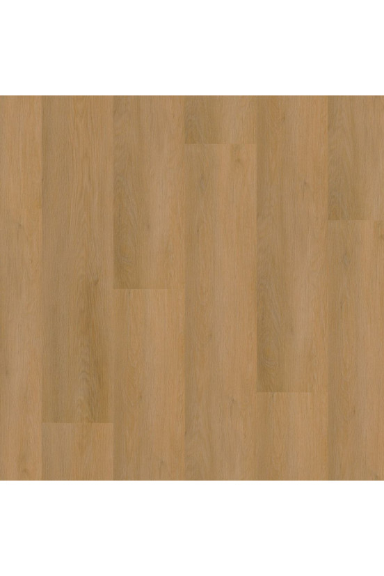 Ambiant Sentima Dark Oak 8310 Ambiant Sentima Dark Oak 8310