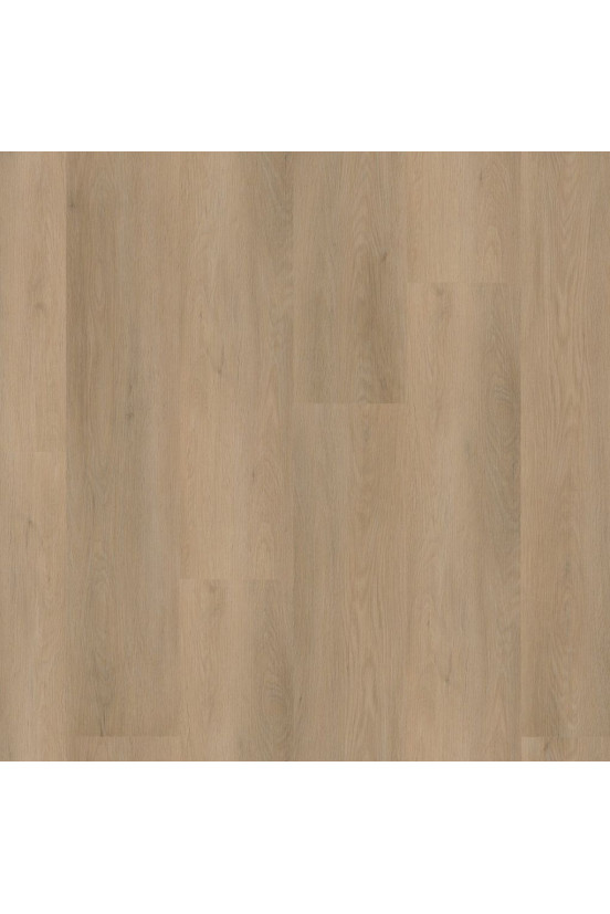 Sentima Beige 8311 Sentima Beige 8311