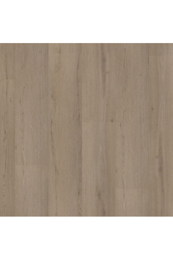Ambiant Venera Smoky 8510 Ambiant Venera Smoky 8510