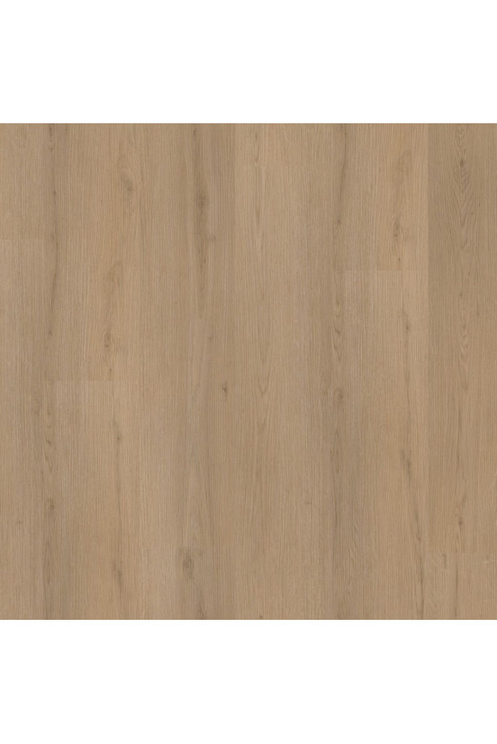 Ambiant Venera Natural Oak 8513 Ambiant Venera Natural Oak 8513