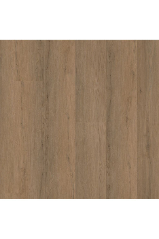 Ambiant Venera Dark Oak 8511 Ambiant Venera Dark Oak 8511