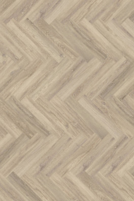 Mflor Parva Oak Sardinia 41219
