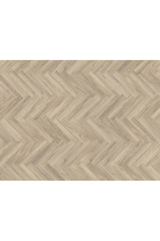 Mflor Parva Oak Sardinia 41219 Mflor Parva Oak Sardinia 41219