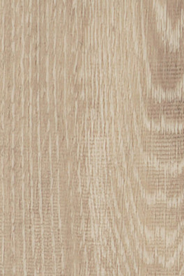 Mflor Parva Oak Sardinia 41219 Mflor Parva Oak Sardinia 41219