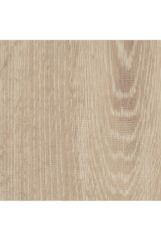 Mflor Parva Oak Sardinia 41219 Mflor Parva Oak Sardinia 41219