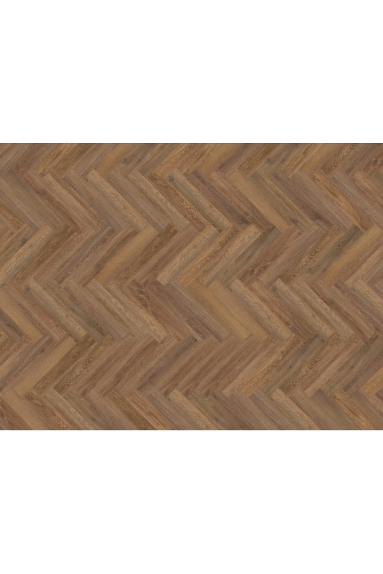 Mflor Parva Oak Liguria 41216 Mflor Parva Oak Liguria 41216