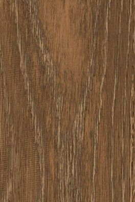 Mflor Parva Oak Liguria 41216 Mflor Parva Oak Liguria 41216