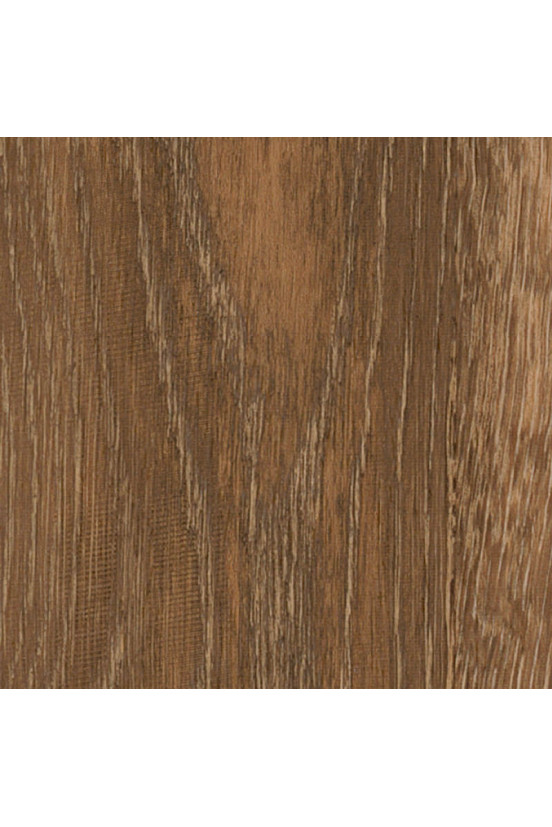 Mflor Parva Oak Liguria 41216 Mflor Parva Oak Liguria 41216
