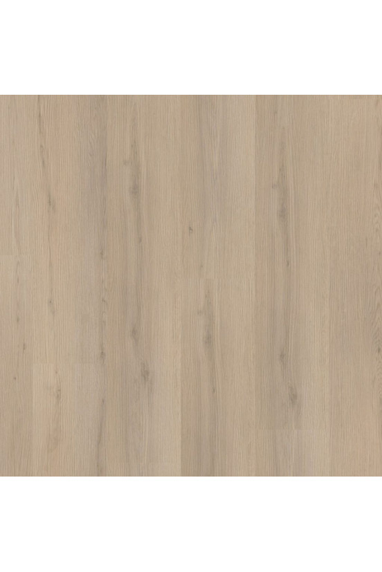 Ambiant Venera Beige 8512 Ambiant Venera Beige 8512