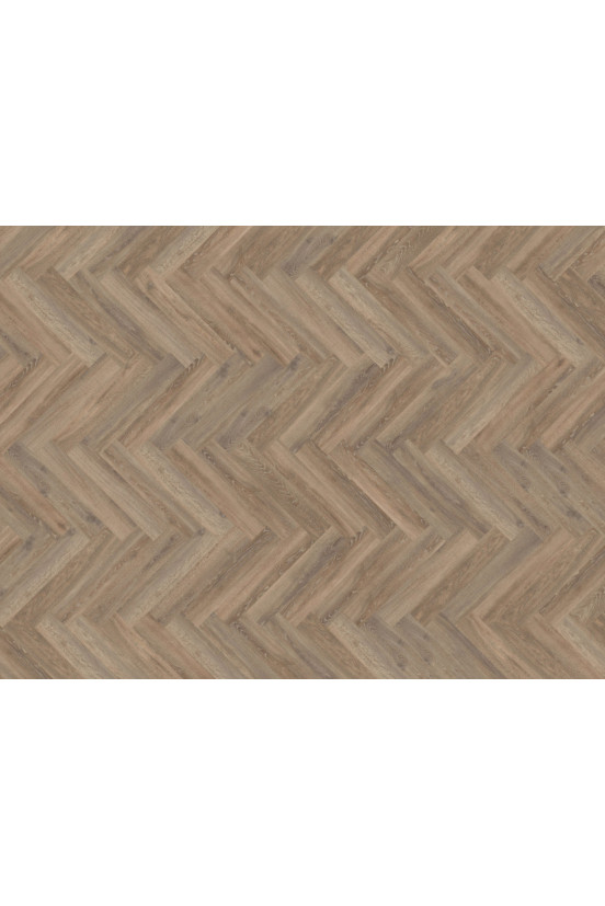 Mflor Parva Oak Calabria 41213 Mflor Parva Oak Calabria 41213