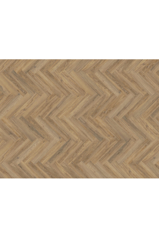 Mflor Parva Oak Apulia 41215 Mflor Parva Oak Apulia 41215
