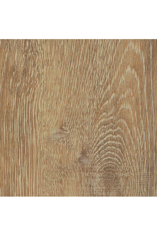 Mflor Parva Oak Apulia 41215 Mflor Parva Oak Apulia 41215