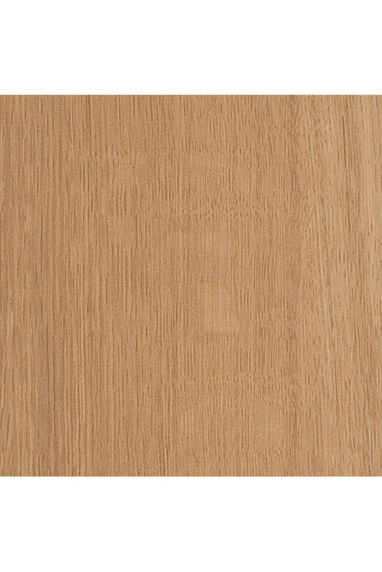 Mflor Parva Broad Leaf Pure Sycamore 40822 Mflor Parva Broad Leaf Pure Sycamore 40822