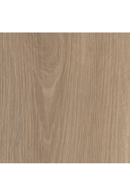 Mflor River Oak Rhone XL 73019 Mflor River Oak Rhone XL 73019
