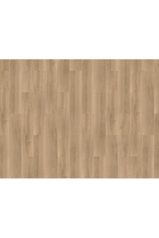 Mflor River Oak Tarn 63029 Mflor River Oak Tarn 63029
