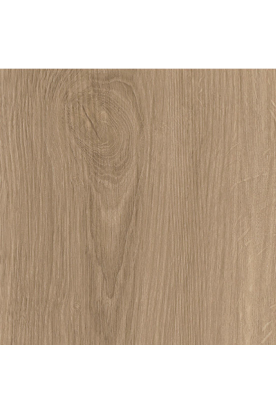 Mflor River Oak Tarn 63029 Mflor River Oak Tarn 63029