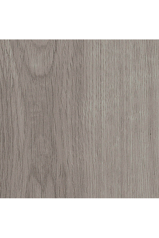 Mflor Parva Broad Leaf Grey Sycamore 40828 Mflor Parva Broad Leaf Grey Sycamore 40828