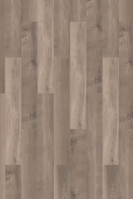Mflor Broad Leaf Smoky Sycamore 41817