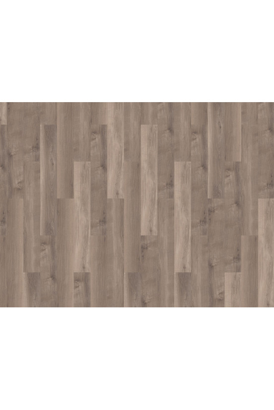 Mflor Broad Leaf Smoky Sycamore 41817 Mflor Broad Leaf Smoky Sycamore 41817