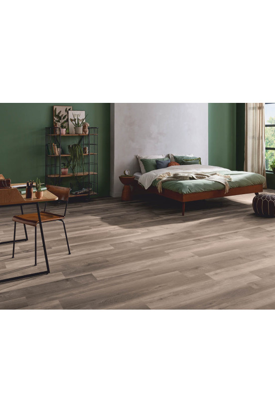 Mflor Broad Leaf Smoky Sycamore 41817 Mflor Broad Leaf Smoky Sycamore 41817