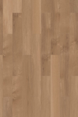 Mflor Broad Leaf Pure Sycamore 41822
