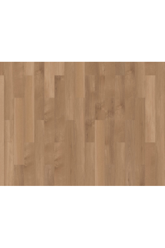 Mflor Broad Leaf Pure Sycamore 41822 Mflor Broad Leaf Pure Sycamore 41822