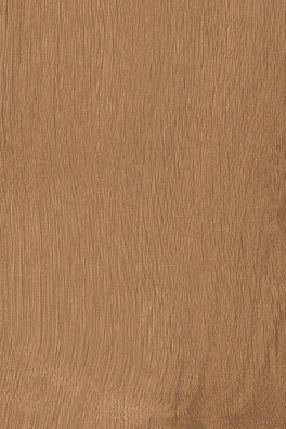 Mflor Broad Leaf Pure Sycamore 41822 Mflor Broad Leaf Pure Sycamore 41822
