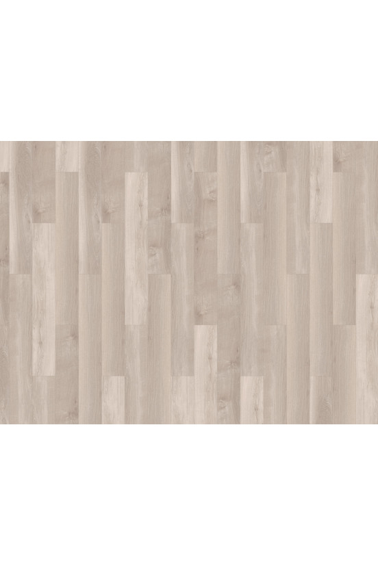 Mflor Broad Leaf Light Sycamore 41810 Mflor Broad Leaf Light Sycamore 41810