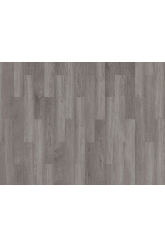 Mflor Broad Leaf Grey Sycamore 41828 Mflor Broad Leaf Grey Sycamore 41828