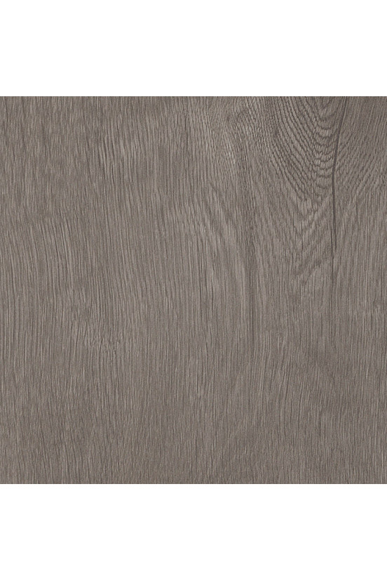 Mflor Broad Leaf Grey Sycamore 41828 Mflor Broad Leaf Grey Sycamore 41828