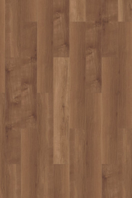 Mflor Broad Leaf Dark Sycamore 41813