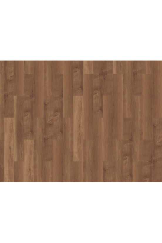 Mflor Broad Leaf Dark Sycamore 41813 Mflor Broad Leaf Dark Sycamore 41813