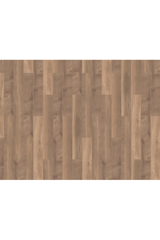 Mflor Broad Leaf Warm Sycamore 41815 Mflor Broad Leaf Warm Sycamore 41815