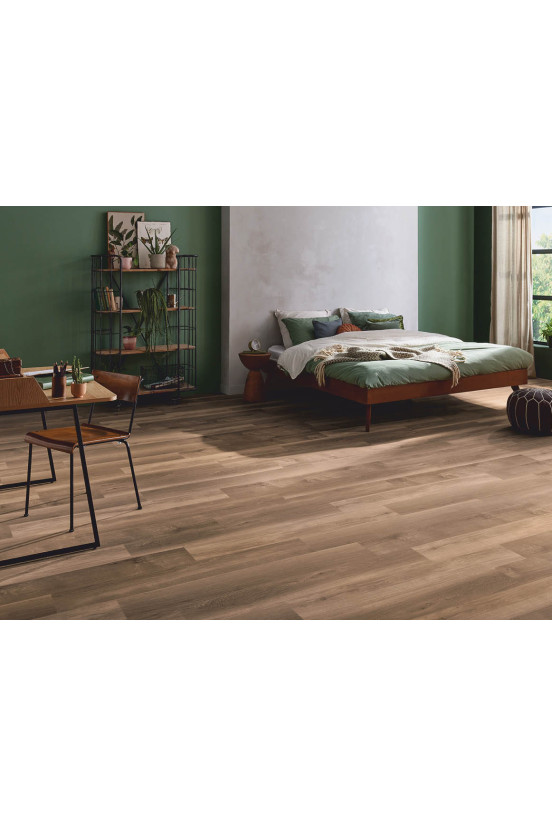 Mflor Broad Leaf Warm Sycamore 41815 Mflor Broad Leaf Warm Sycamore 41815