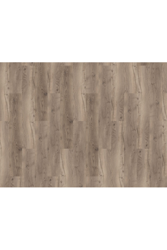 Mflor Bramber Chestnut Miglio 81611 Mflor Bramber Chestnut Miglio 81611