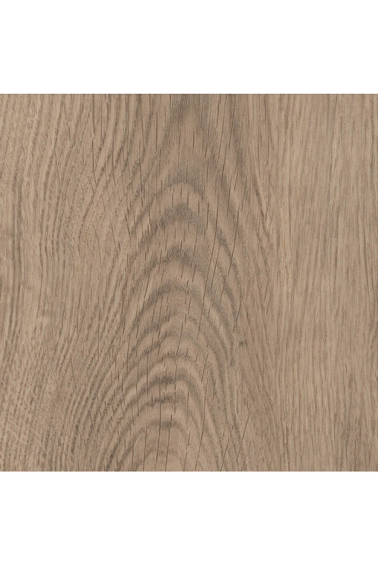 Mflor Bramber Chestnut Miglio 81611 Mflor Bramber Chestnut Miglio 81611