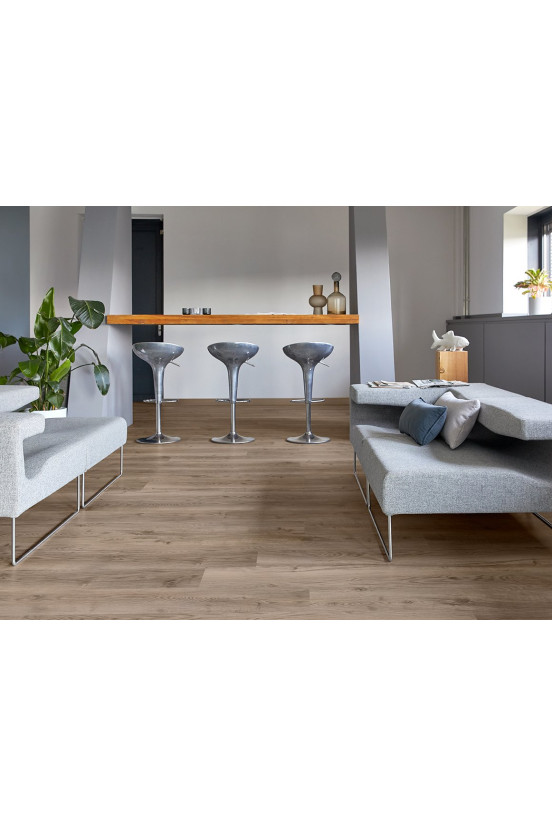 Mflor Bramber Chestnut Miglio 81611 Mflor Bramber Chestnut Miglio 81611
