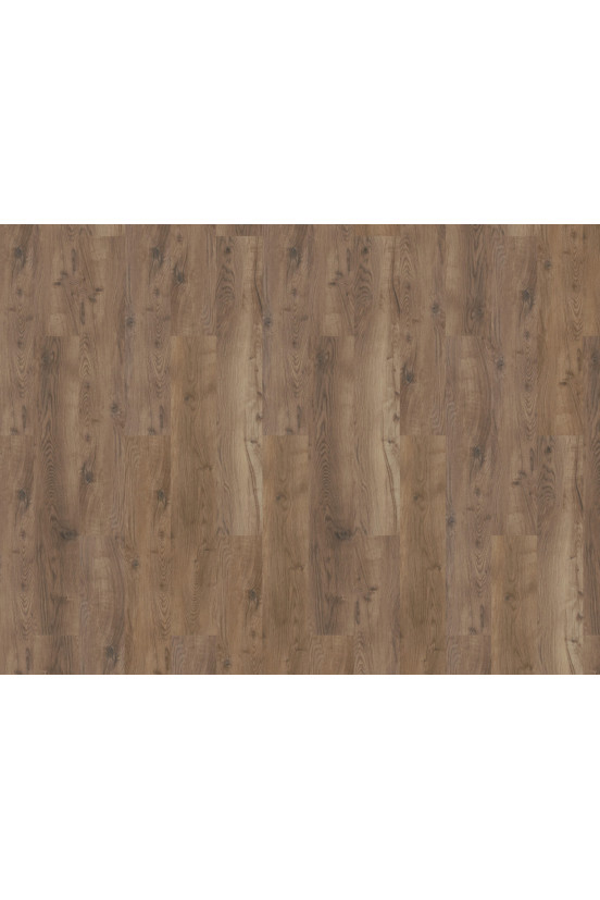 Mflor Bramber Chestnut Alforf 81607 Mflor Bramber Chestnut Alforf 81607