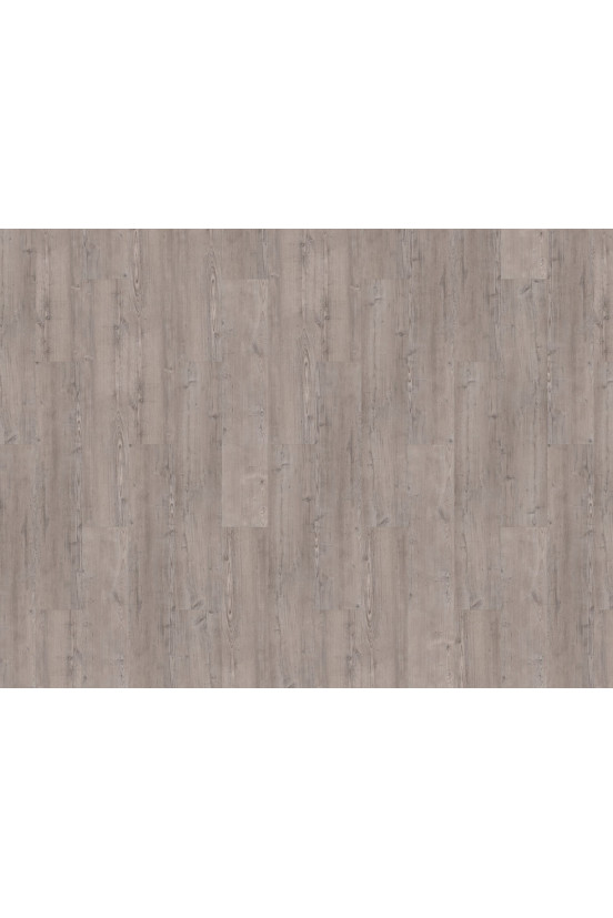 Mflor Argyll Fir Warferry 75112 Mflor Argyll Fir Warferry 75112